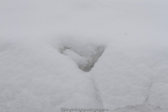 Naturlig hjerte i snøen