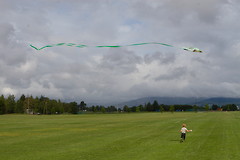 Drageflyging på Ekebergsletta