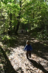 En liten gutt på tur i skogen