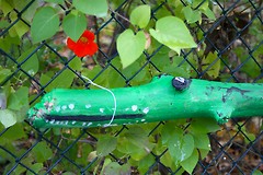 En tømmerstokk som har blitt malt grønn og blitt til en krokodille