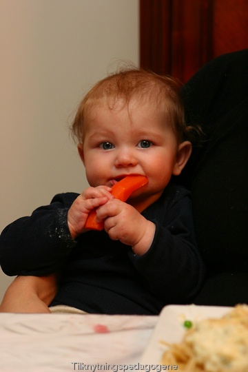 En halvt år gammel baby spiser kokt gulrot som sitt første måltid