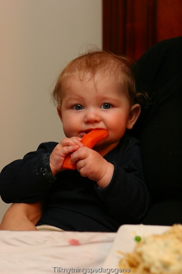En halvt ��r gammel baby spiser kokt gulrot som sitt f��rste m��ltid