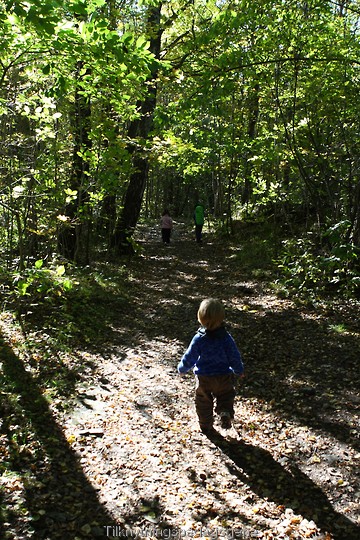 En liten gutt på tur i skogen