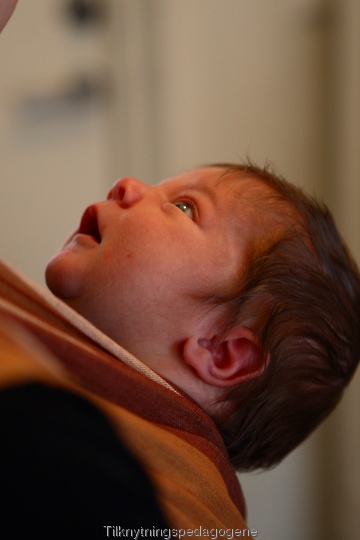 14 dager gammel baby ser på mamma fra et bæresjal på magen