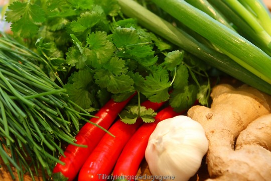 Ingredienser til hjemmelagde vårruller