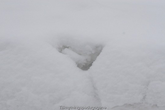 Naturlig hjerte i snøen