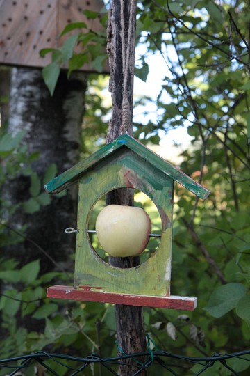 Fuglemater formet som et hus