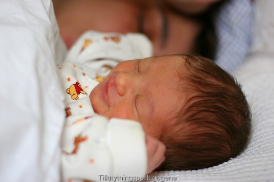 Baby samsover med mamma