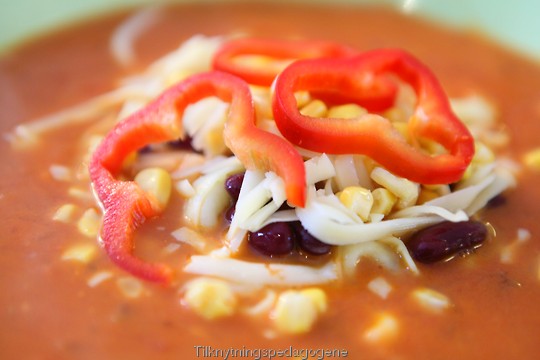 Hjemmelaget tomatsuppe med masse gr��nnsaker