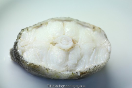 Lite bein i halestykkene p�� fisken